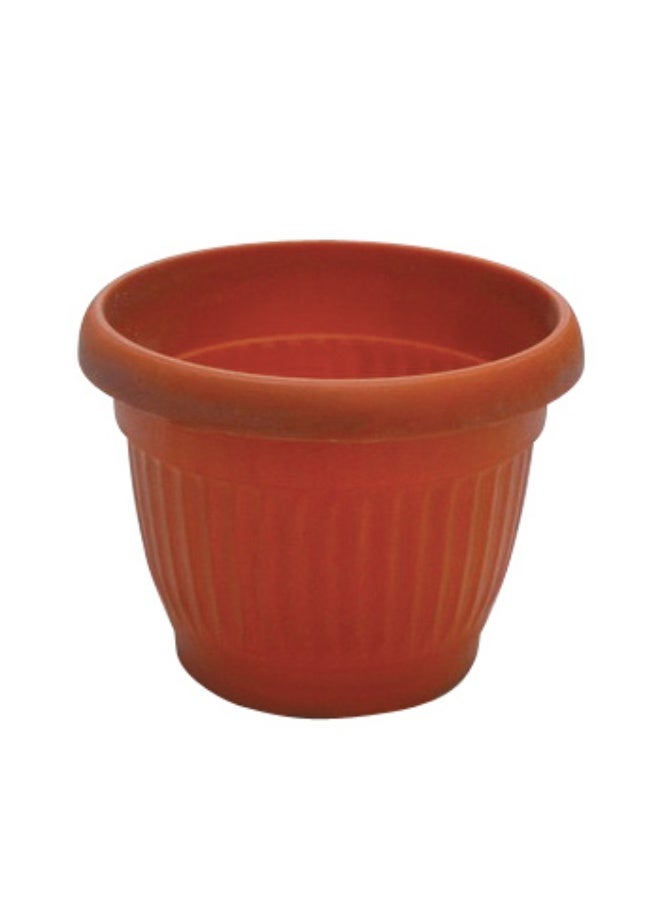 كأس صبار من خورشيد بلاست للبلاستيك